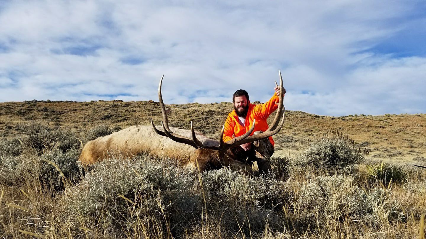 Hunting trophy